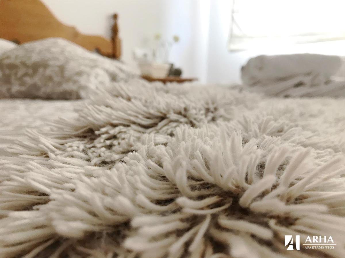 Apartamentos Arha Potes Luaran gambar